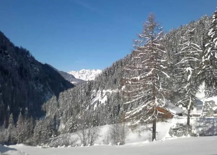 Schweikert Lejlighed *